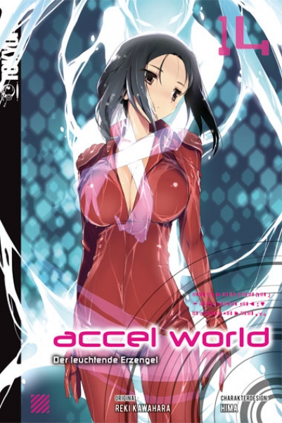 Accel World – Novel 14