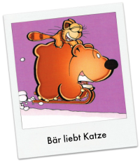 Bär liebt Katze
