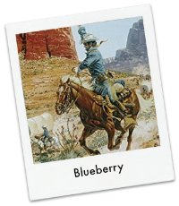 Blueberry