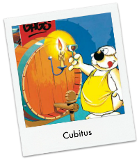 Cubitus