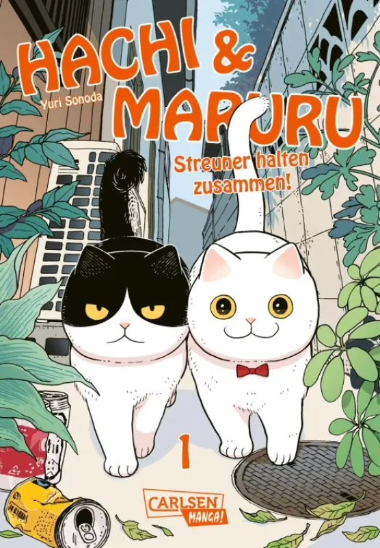 Hachi & Maruru – Streuner halten zusammen!