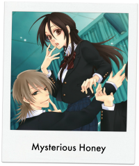 Mysterious Honey