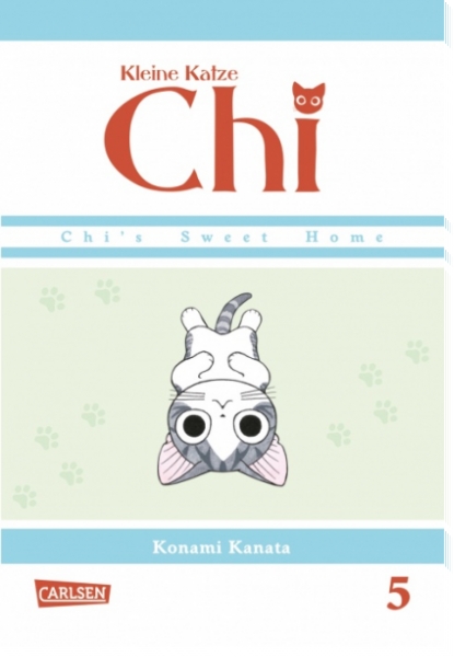 Kleine Katze Chi 5