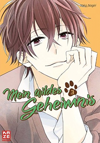 Mein wildes Geheimnis 3