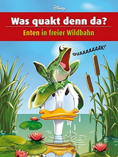 Was quakt denn da? - Enten in freier Wildbahn