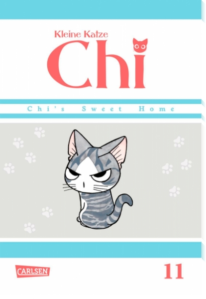 Kleine Katze Chi 11