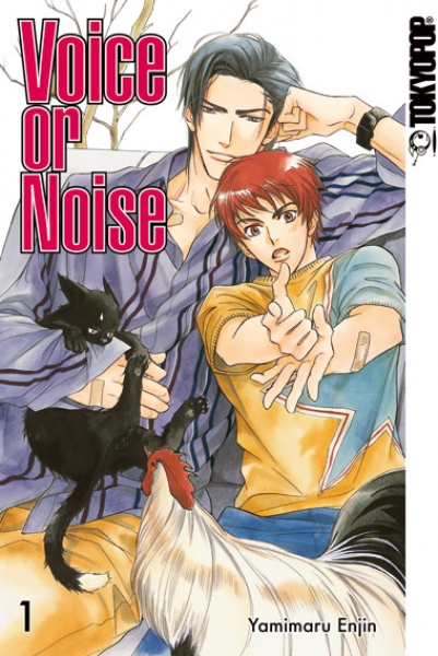 Voice or Noise 1
