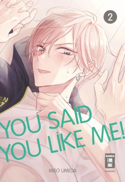 You Said You Like Me! 2